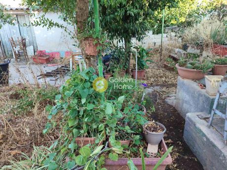 Detached home 80sqm for sale-Aspropirgos » Kounoupitsa