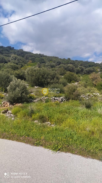 Οικόπεδο 2.350 τ.μ. προς πώληση, Μπούφαλο
