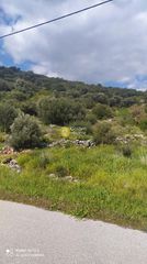 Οικόπεδο 2.350 τ.μ. για πώληση, Εύβοια, Δύστος-thumb-1