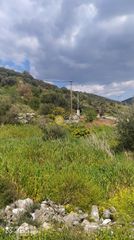 Οικόπεδο 2.350 τ.μ. για πώληση, Εύβοια, Δύστος-thumb-6