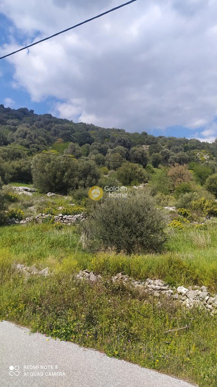 Οικόπεδο 2.350 τ.μ. προς πώληση, Μπούφαλο