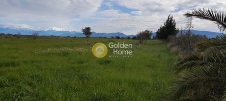 Parcel 19.000sqm for sale-Dytikis Achaias » Niforeika