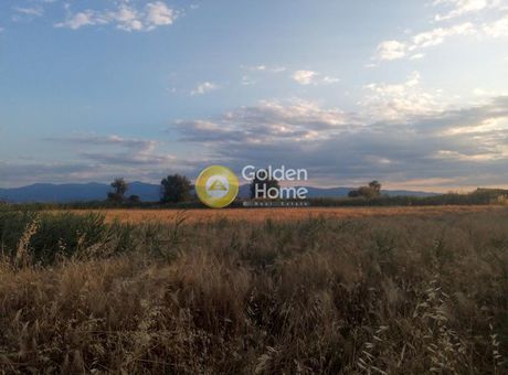 Αγροτεμάχια 2.500τ.μ. για πώληση-Νέα αγχίαλος » Δημητριάδα