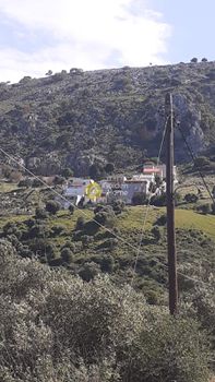 Οικόπεδο 6.500 τ.μ. για πώληση