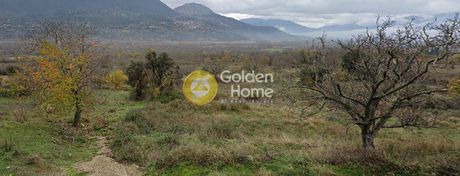 Parcel 3.150sqm for sale-Feneos » Gkoura