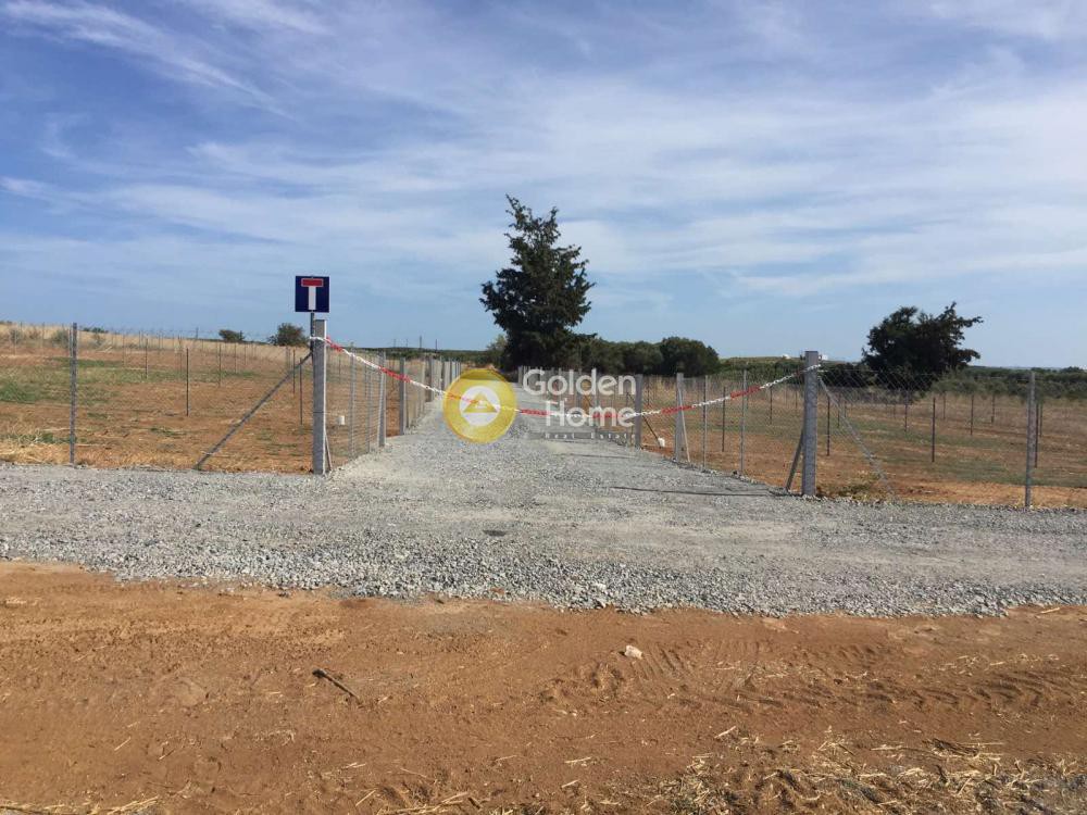 Αγροτεμάχια 3.600 τ.μ. προς πώληση, Φλογητά