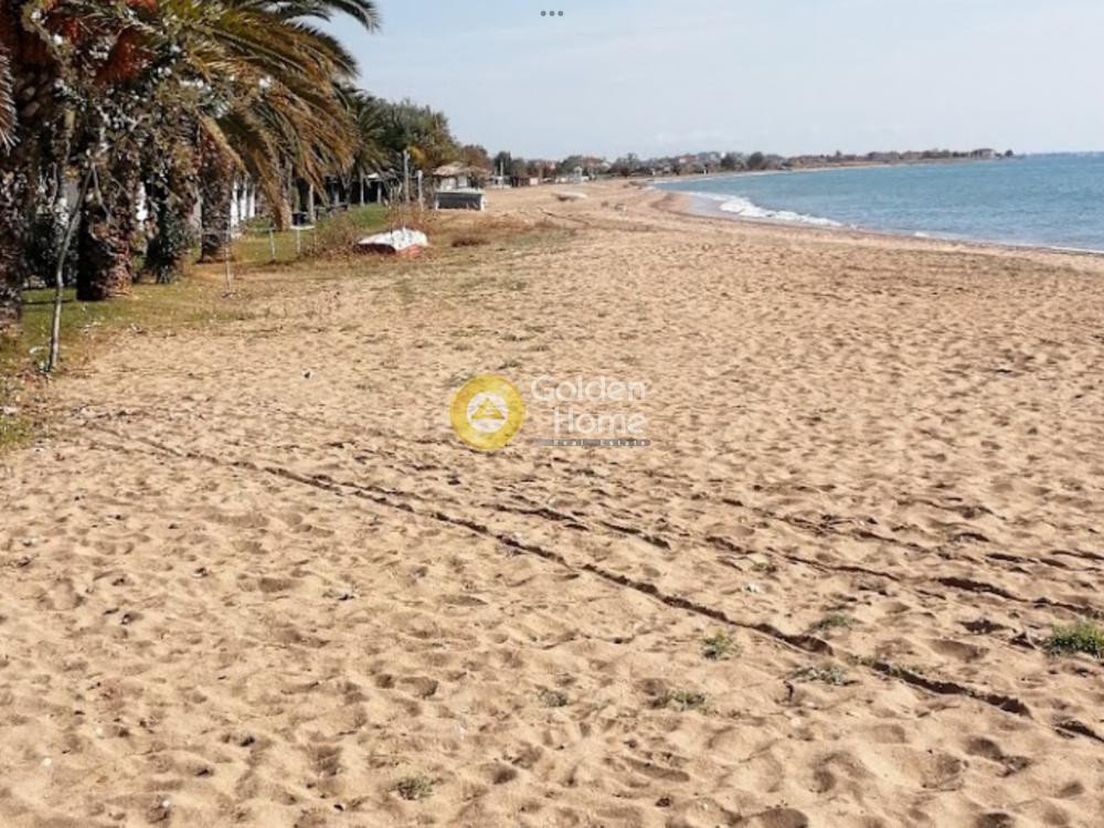 Αγροτεμάχια 3.600 τ.μ. προς πώληση, Φλογητά