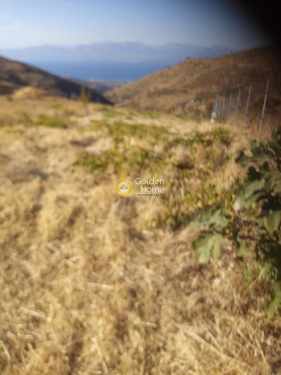 Μεζονέτα 336 τ.μ. προς πώληση, Κέντρο Βαρνάβα