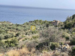 Αγροτεμάχια 1.800 τ.μ. για πώληση