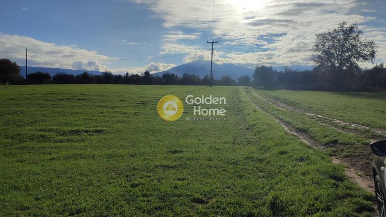 Parcel 7.800 sqm for sale, Achaia, Fares