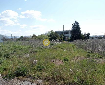 Οικόπεδο 8.355τ.μ. για ενοικίαση-Θέρμη » Νέο ρύσιο