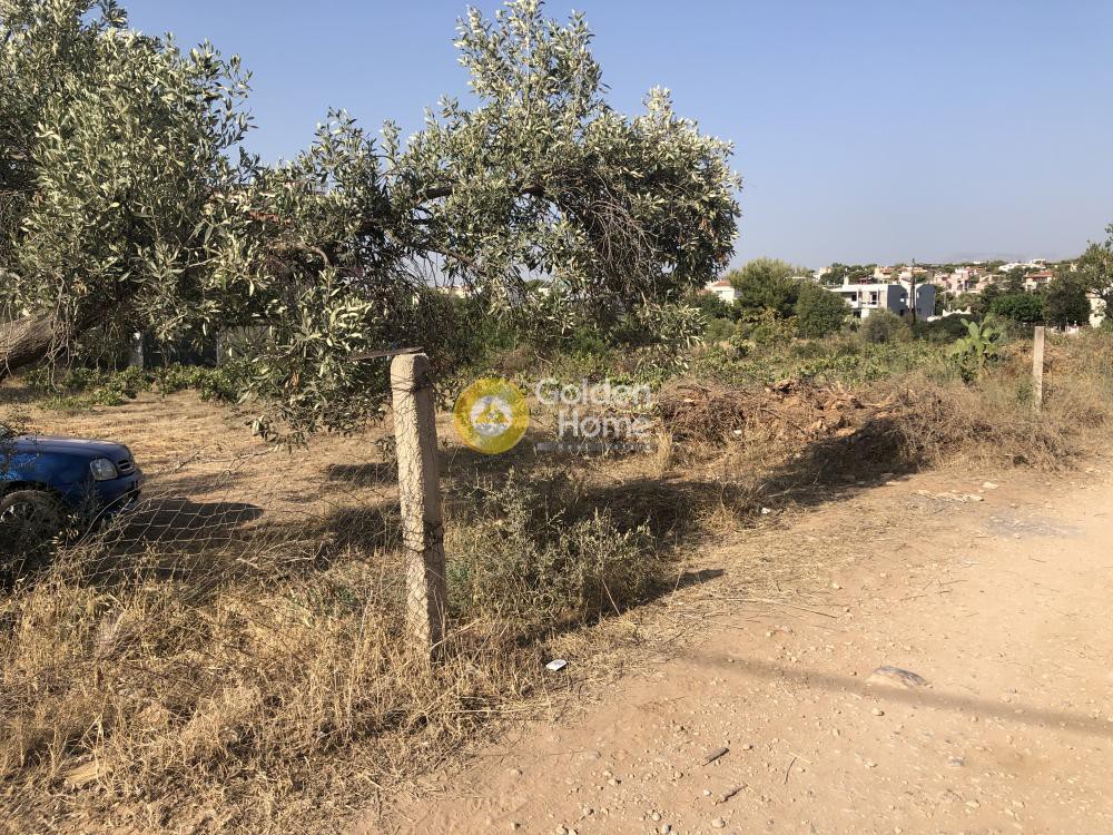 Οικόπεδο 2.563 τ.μ. προς πώληση, Αλυκή Αρτέμιδας