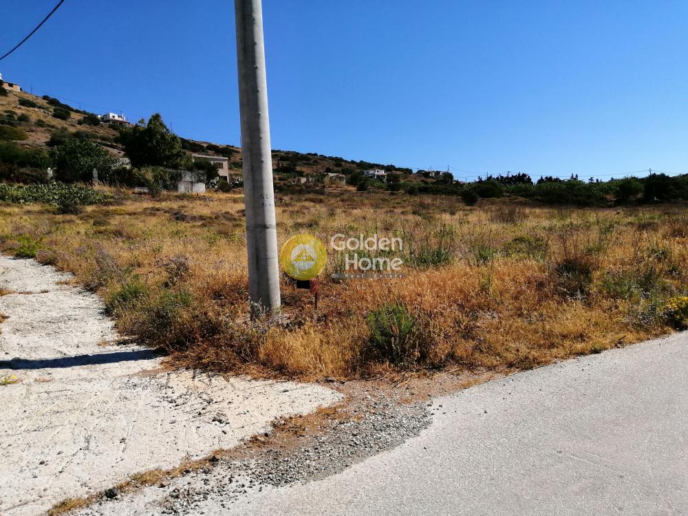 Αγροτεμάχια 4.120 τ.μ. προς πώληση, Πόρτο Εννιά