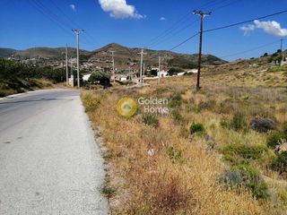 Αγροτεμάχια 4.120 τ.μ. για πώληση