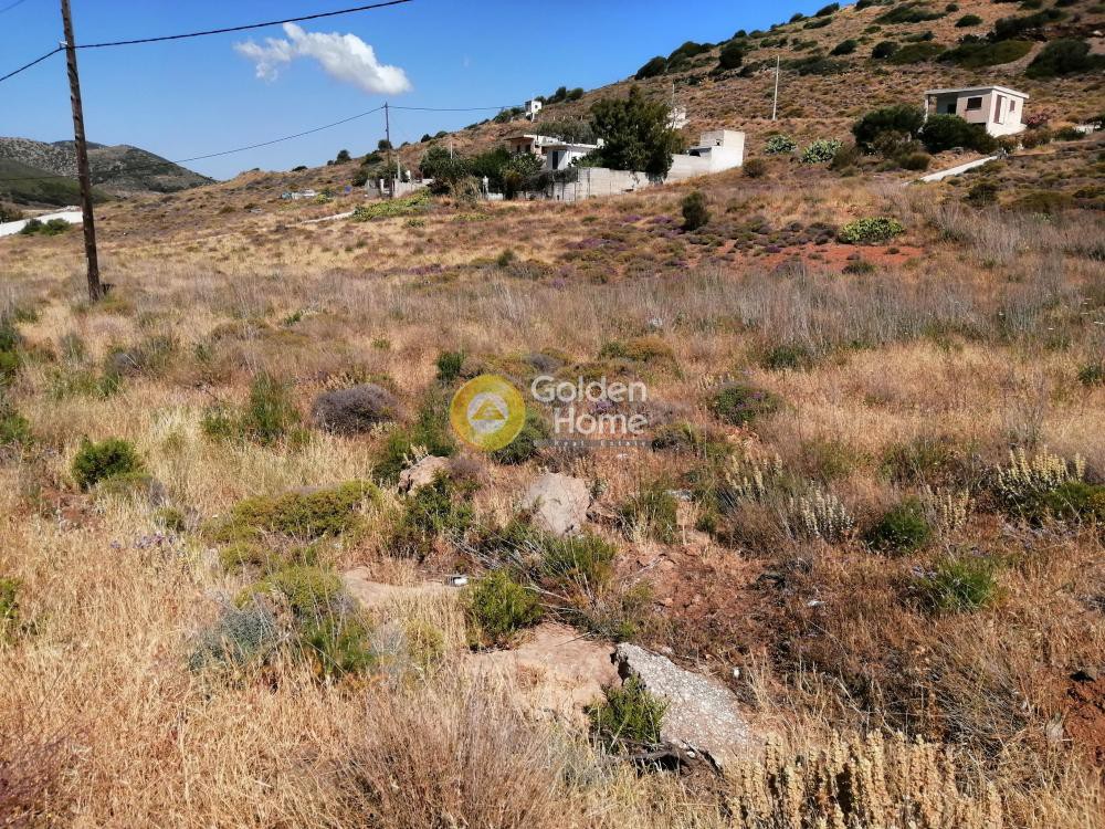 Αγροτεμάχια 4.120 τ.μ. προς πώληση, Πόρτο Εννιά