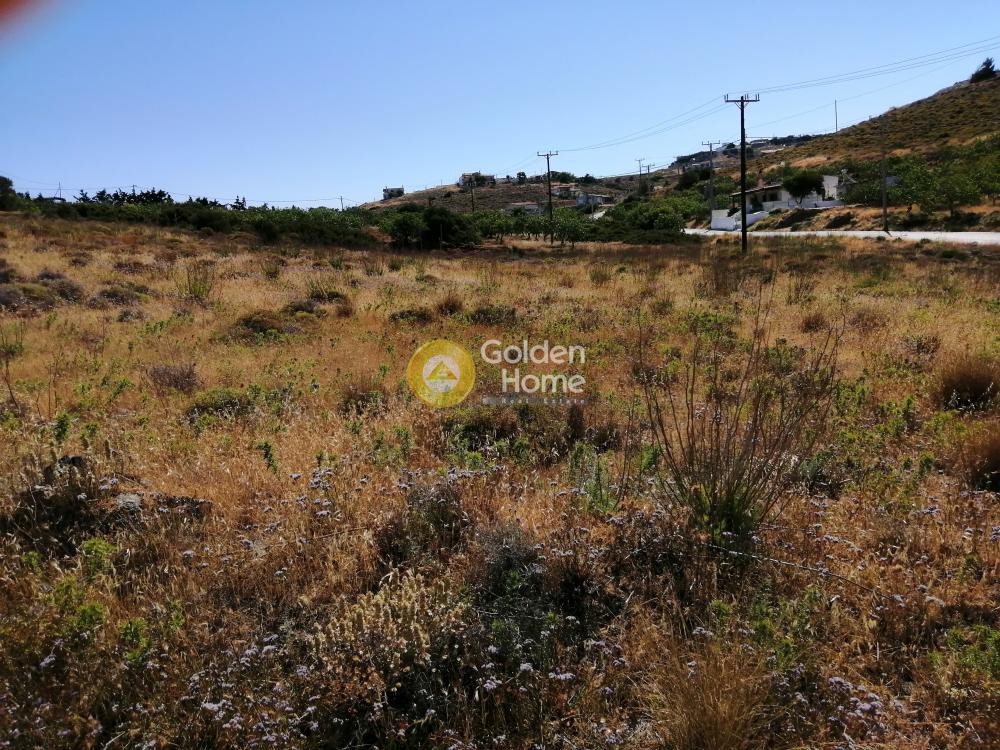 Αγροτεμάχια 4.120 τ.μ. προς πώληση, Πόρτο Εννιά