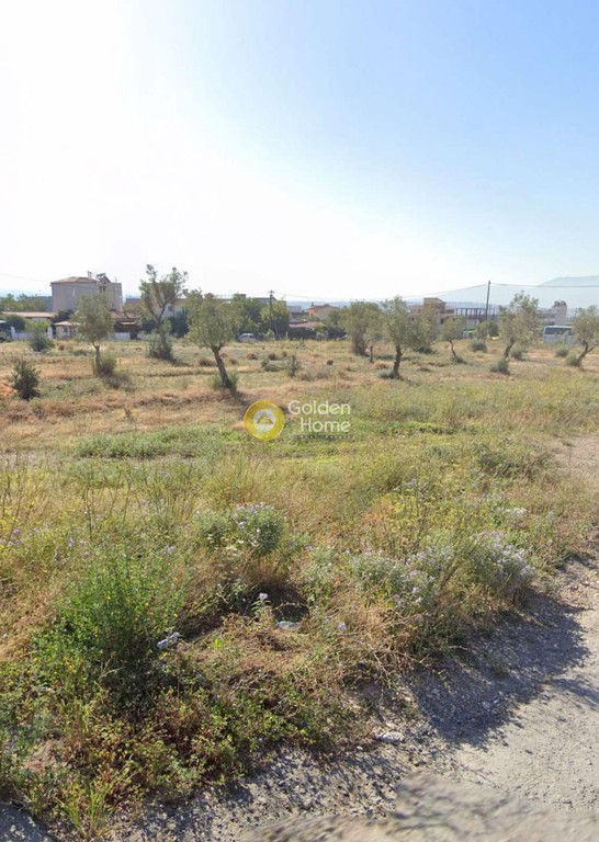 Οικόπεδο 355 τ.μ. προς πώληση, Αγριλέζα
