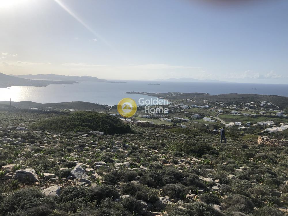 Οικόπεδο 12.300 τ.μ. προς πώληση, Κρωτήρι