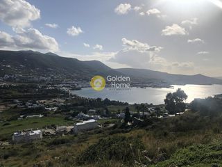 Οικόπεδο 12.300 τ.μ. για πώληση