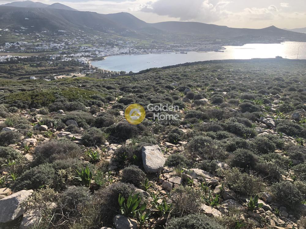 Οικόπεδο 12.300 τ.μ. προς πώληση, Κρωτήρι