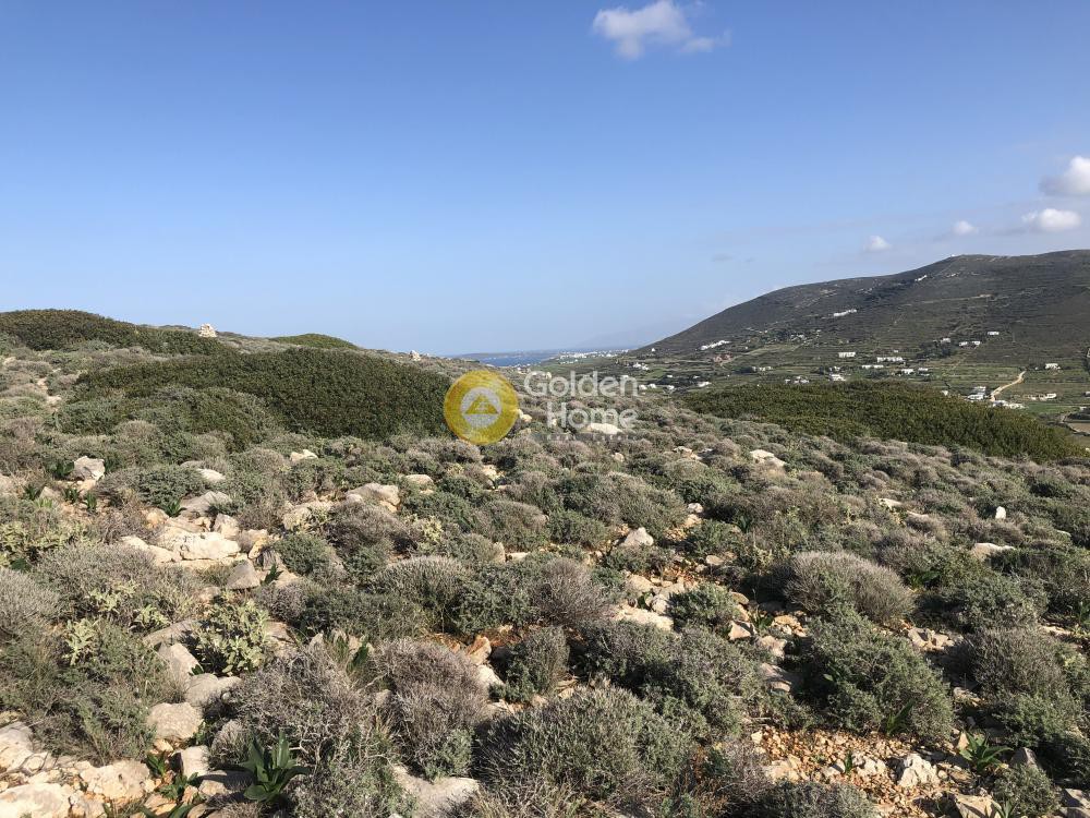 Οικόπεδο 12.300 τ.μ. προς πώληση, Κρωτήρι