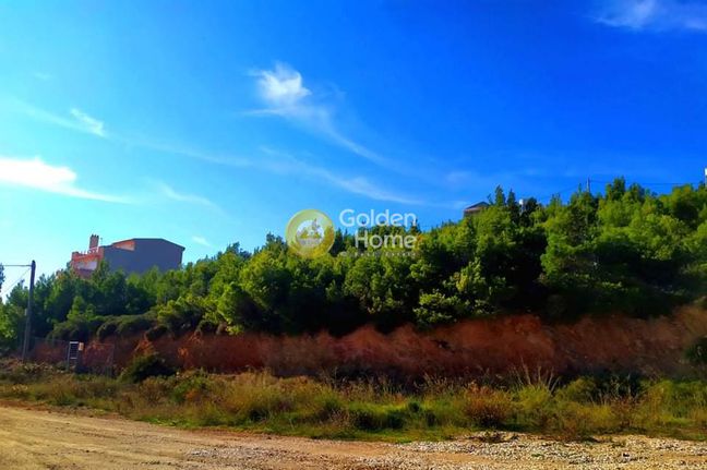 Οικόπεδο 503 τ.μ. για πώληση, Αττική - Υπόλοιπο, Πικέρμι