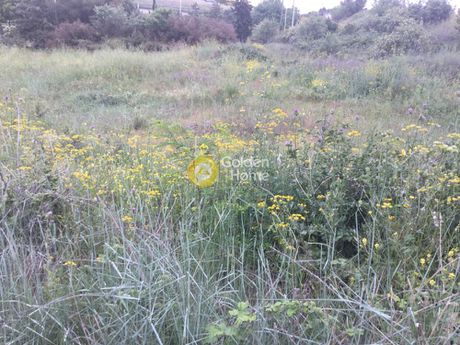Οικόπεδο 850τ.μ. για πώληση-Μίκρα » Κέντρο