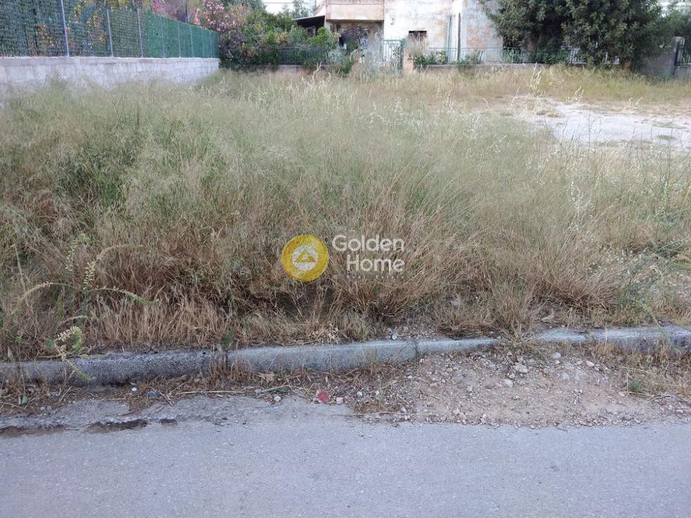 Οικόπεδο 175 τ.μ. προς πώληση, Αμυγδαλέζα