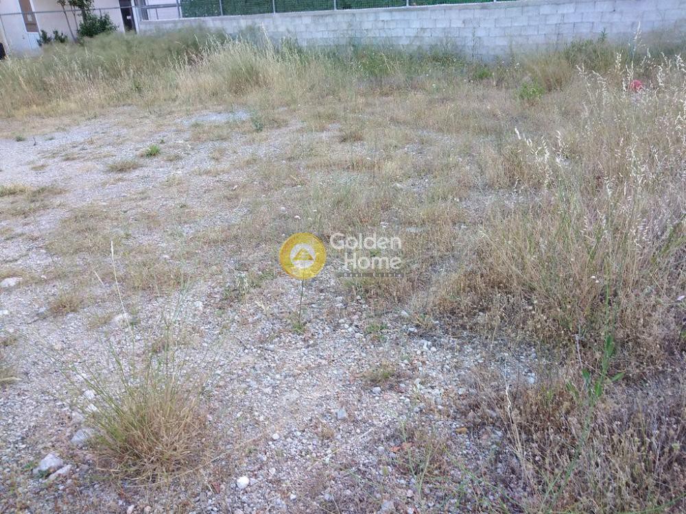 Οικόπεδο 175 τ.μ. προς πώληση, Αμυγδαλέζα