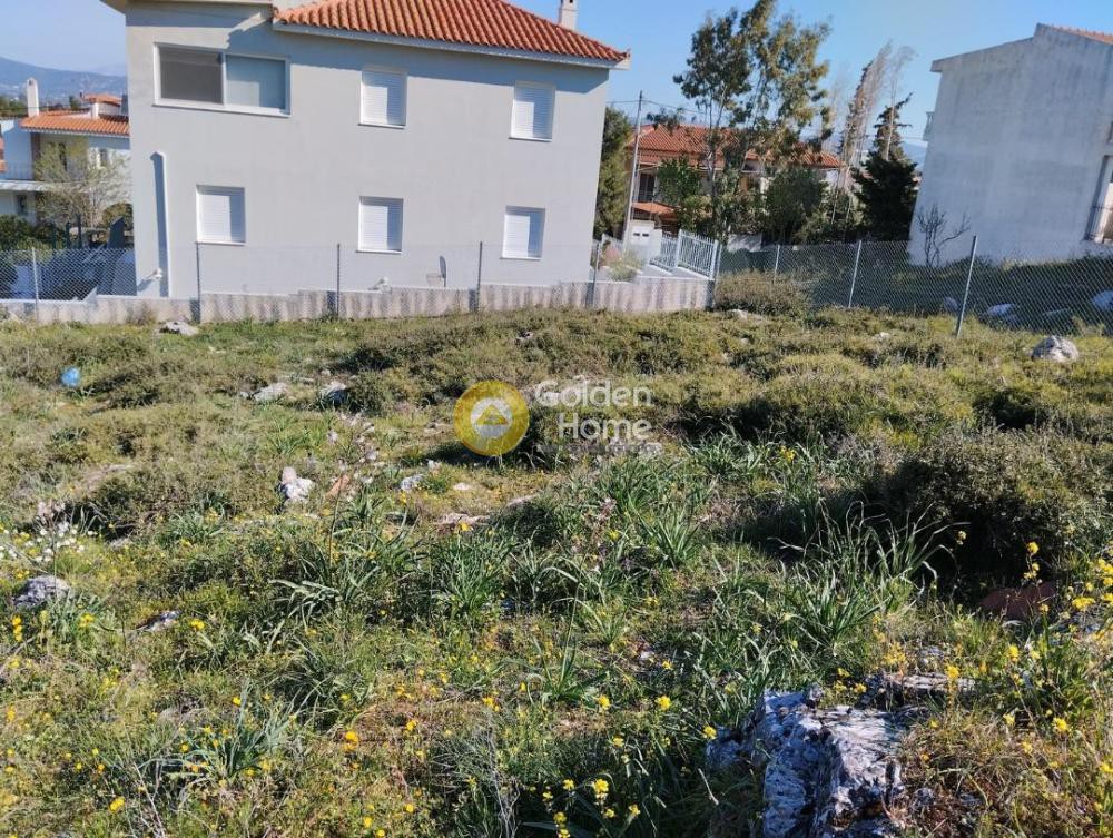 Οικόπεδο 682 τ.μ. προς πώληση, Κέντρο Αγίου Στεφάνου