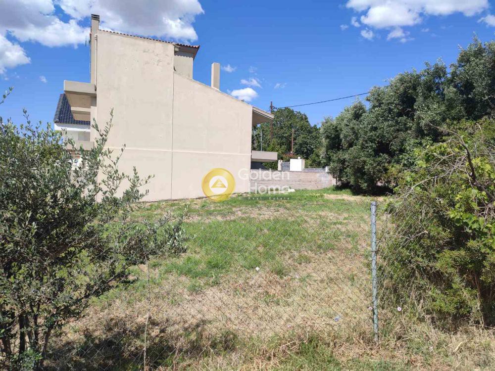 Οικόπεδο 310 τ.μ. προς πώληση, Οικισμός Κόκκινο Λιμανάκι