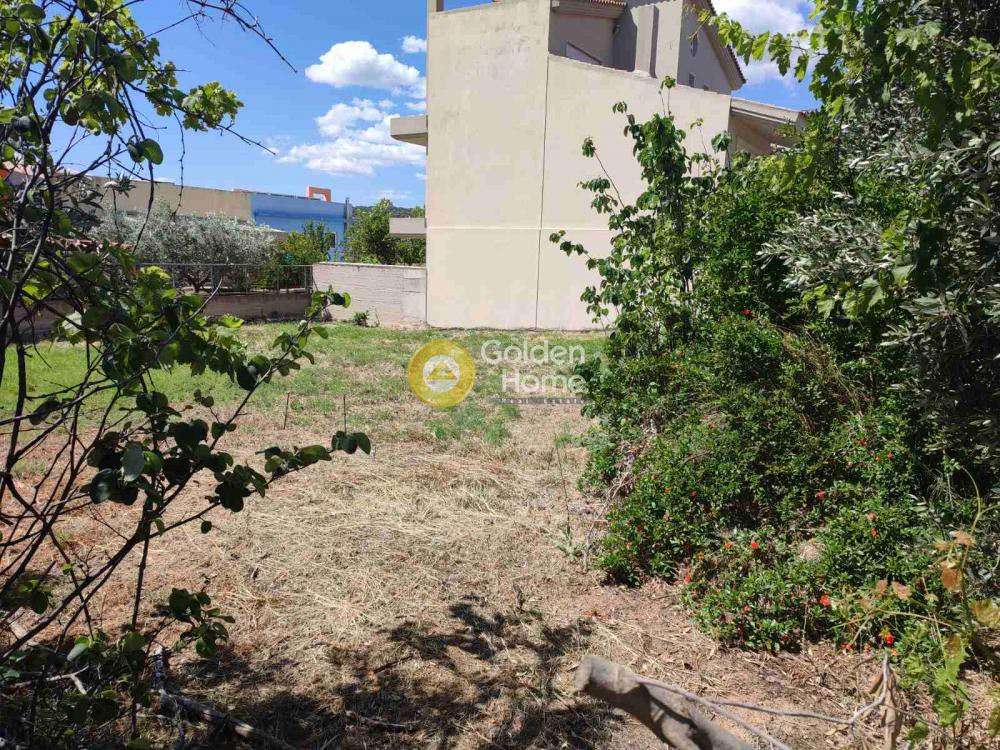 Οικόπεδο 310 τ.μ. προς πώληση, Οικισμός Κόκκινο Λιμανάκι