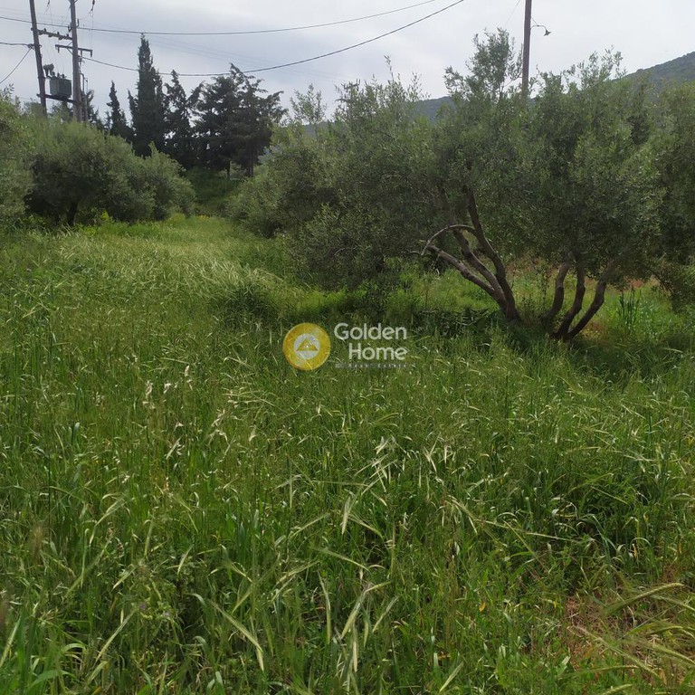 Οικόπεδο 890 τ.μ. προς πώληση, Επάνω Αρχάνες