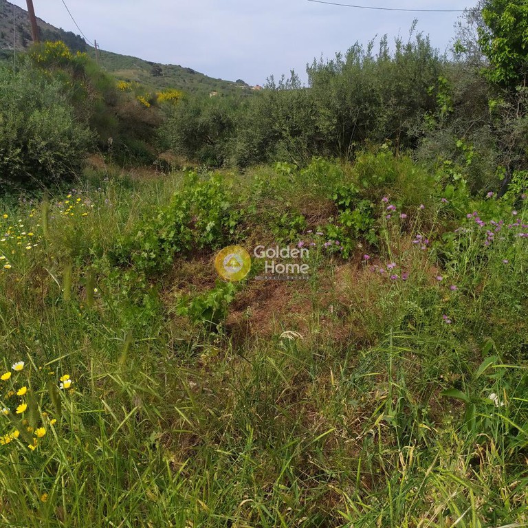 Οικόπεδο 890 τ.μ. προς πώληση, Επάνω Αρχάνες