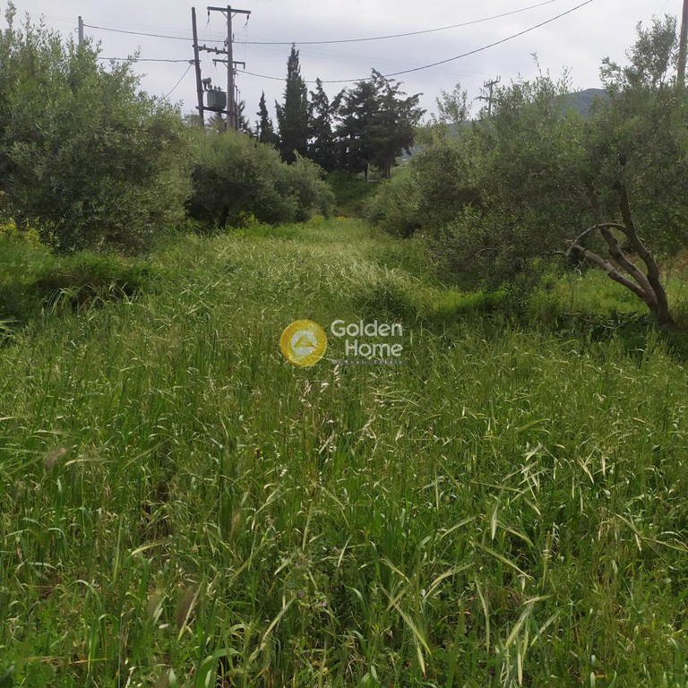 Οικόπεδο 890 τ.μ. προς πώληση, Επάνω Αρχάνες