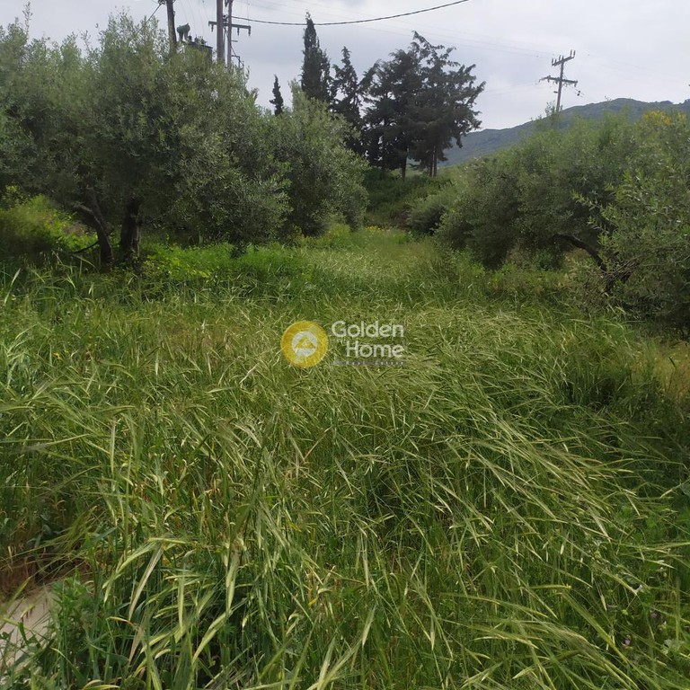 Οικόπεδο 890 τ.μ. προς πώληση, Επάνω Αρχάνες