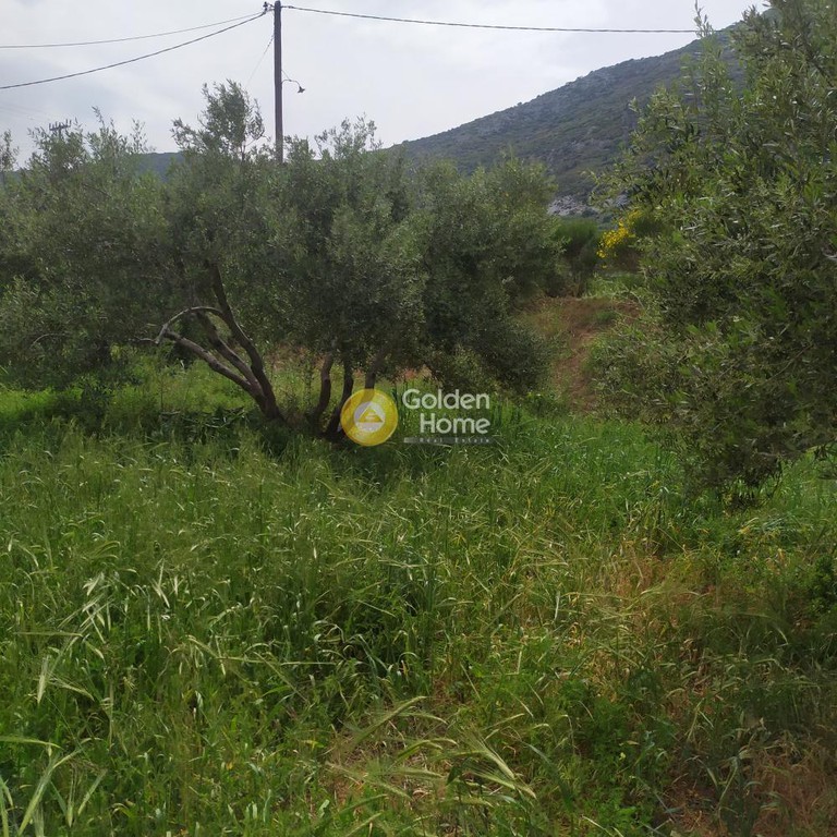 Οικόπεδο 890 τ.μ. προς πώληση, Επάνω Αρχάνες