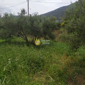 Οικόπεδο 890 τ.μ. για πώληση