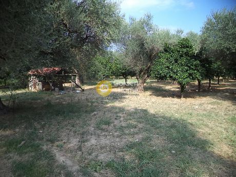 Parcel 2.680sqm for sale-Diakopto » Nea Kerineia