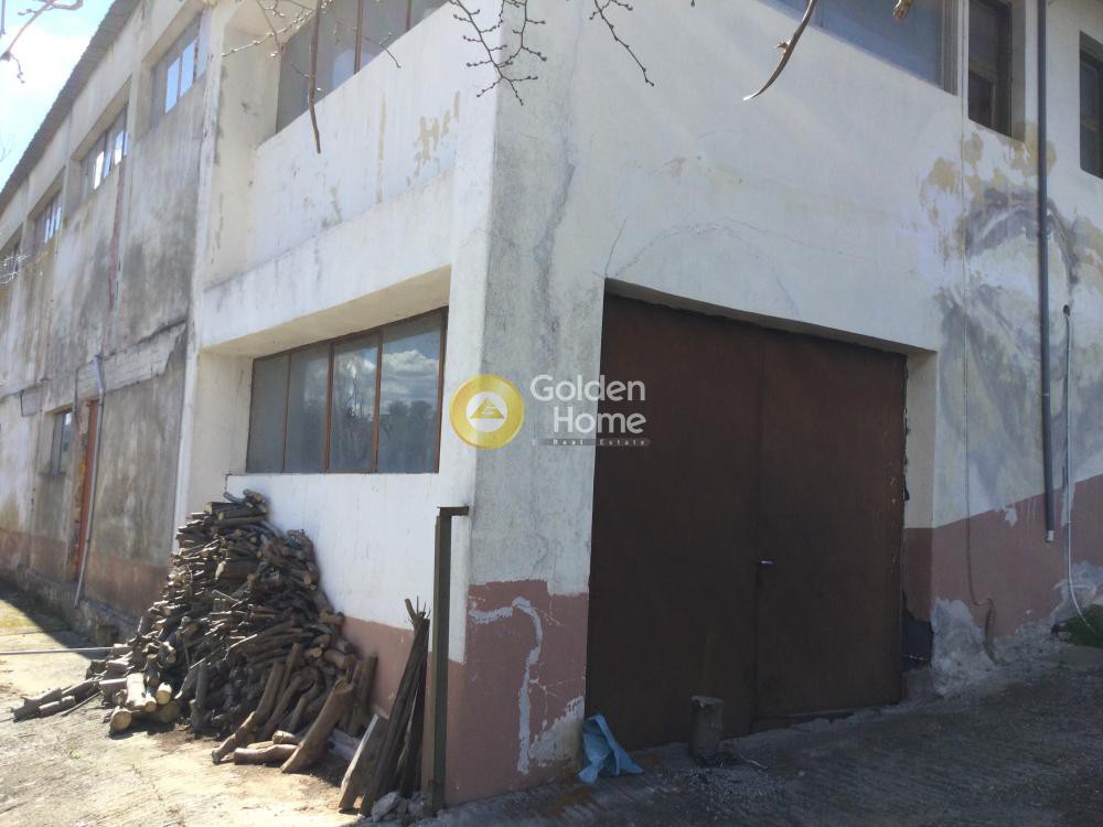 Βιομηχανικός χώρος 1.156 τ.μ. προς πώληση, Νέο Ρύσιο
