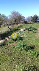 Αγροτεμάχια 14.000 τ.μ. για πώληση, Κυκλάδες, Κέα-thumb-3