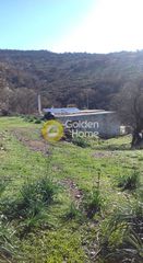 Αγροτεμάχια 14.000 τ.μ. για πώληση, Κυκλάδες, Κέα-thumb-7