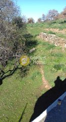 Αγροτεμάχια 14.000 τ.μ. για πώληση, Κυκλάδες, Κέα-thumb-14