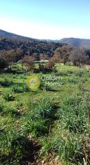 Αγροτεμάχια 14.000 τ.μ. για πώληση, Κυκλάδες, Κέα-thumb-13