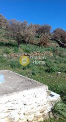 Αγροτεμάχια 14.000 τ.μ. για πώληση, Κυκλάδες, Κέα-thumb-16