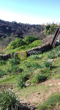 Parcel 14.000sqm for sale-Kea » Main Town - Chora