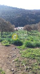 Αγροτεμάχια 14.000 τ.μ. για πώληση, Κυκλάδες, Κέα-thumb-1