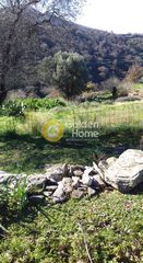 Αγροτεμάχια 14.000 τ.μ. για πώληση, Κυκλάδες, Κέα-thumb-8