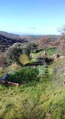 Αγροτεμάχια 14.000 τ.μ. για πώληση, Κυκλάδες, Κέα-thumb-12