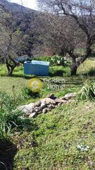 Αγροτεμάχια 14.000 τ.μ. για πώληση, Κυκλάδες, Κέα-thumb-9